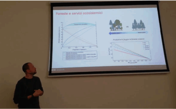 Il futuro delle foreste: come i boschi si adattano al cambiamento climatico, Marco Mina ospite alla scuola del lunedì scuola del lunedì