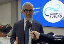 Imprese, Romano (InfoCamere): “Con Camere del Futuro ecco Janas l’Ia a supporto aziende”