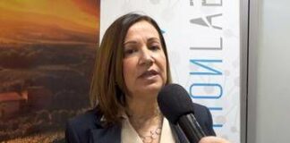 Imprese, Tiloca (CamCom Sassari): “Camera del Futuro portale modellato per aziende del Nord Sardegna”