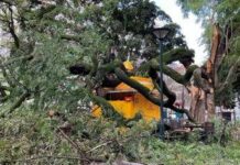 La tempesta Kristin colpisce il Portogallo, almeno 4 morti