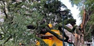 La tempesta Kristin colpisce il Portogallo, almeno 4 morti