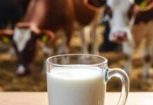 Latte crudo, la moda riprende quota in Usa. L’allarme dei medici: “Gravi rischi”