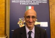 Lucano (Miele Lunigiana Dop): “Con Dop e Igp garanzia di tracciabilità”