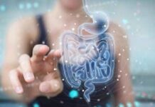 Malattie metaboliche, la svolta arriva dall’intestino: identificato batterio ‘protettivo’
