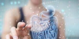 Malattie metaboliche, la svolta arriva dall’intestino: identificato batterio ‘protettivo’