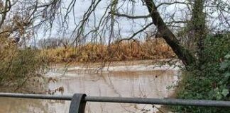 Maltempo Roma, esonda Aniene all’altezza di Ponte Mammolo: evacuata una famiglia