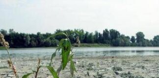 Meno piogge ma più intense, le precipitazioni in Italia negli ultimi 200 anni