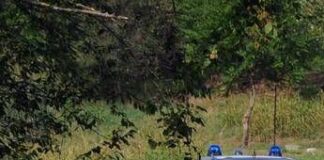 Messina, trovati tre cadaveri crivellati di colpi nel bosco di Montagnareale: indagini in corso
