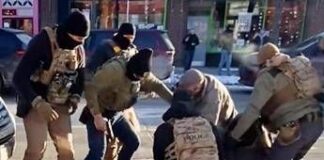 Minneapolis, Pretti ucciso dagli agenti: i video e la pistola, inchiesta e tensioni