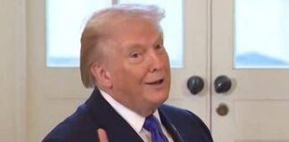 Minneapolis, la risposta di Trump: “Consegnateci immigrati illegali”