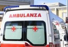 Mucca pazza, c’è un caso nell’Aretino ma non per consumo di carne