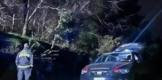 Omicidio dei tre cacciatori a Messina, l’indagato fa parziali ammissioni e poi sceglie il silenzio