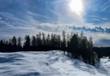 Gelo nel Vicentino: Piana di Marcesina sprofonda a -22 gradi Piana di Marcesina Enego