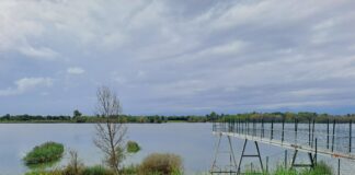 Sicurezza idrica: al via il piano speciale per il sistema Savec nelle province di Vicenza, Padova, Venezia e Rovigo Piani di Sicurezza dell’Acqua PSa Veneto Savec