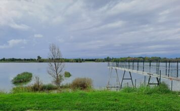 Sicurezza idrica: al via il piano speciale per il sistema Savec nelle province di Vicenza, Padova, Venezia e Rovigo Piani di Sicurezza dell’Acqua PSa Veneto Savec