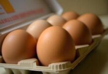 Quattro uova a settimana per ‘curare’ sistema nervoso, vista e pelle: cosa dice l’immunologo