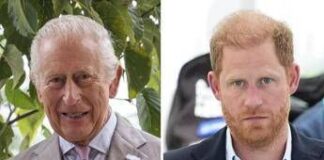 Re Carlo e Harry, nessun incontro a Londra alla fine del mese