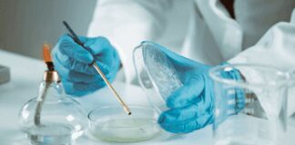 Ricerca: sclerosi multipla, nuove strategie per trattarla potenziando il sistema immunitario