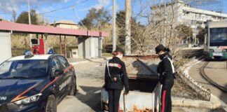 Roma, cadavere in cassonetto: forse un clochard morto per cause naturali