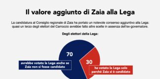 Elezioni regionali: poche sorprese, Zaia trascina la Lega: da VicenzaPiù Viva Elezioni Regionali 2025