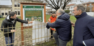 Scuola Bortolan a Vicenza. Spiller, Selmo, Guzzo, Battistolli, Sinigaglia e Avitabile: 94 nuove piante nel giardino col progetto “Ogni pilota, un albero” Scuola Bortolan a Vicenza: piuantano 94 piante in giardino Spiller, Guzzo, Battistolli