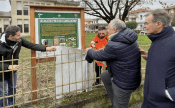 Scuola Bortolan a Vicenza. Spiller, Selmo, Guzzo, Battistolli, Sinigaglia e Avitabile: 94 nuove piante nel giardino col progetto “Ogni pilota, un albero” Scuola Bortolan a Vicenza: piuantano 94 piante in giardino Spiller, Guzzo, Battistolli