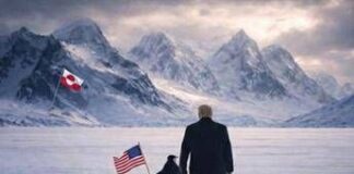 Trump, la Groenlandia e la foto col pinguino: stavolta la Casa Bianca stecca, in Groenlandia non c’è nessun pinguino