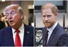 Trump offende soldati Nato: “In Afghanistan erano dietro”. Principe Harry: “Rispetti i sacrifici”