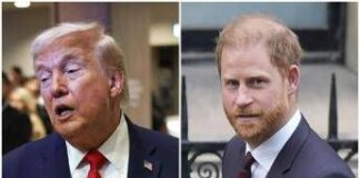 Trump offende soldati Nato: “In Afghanistan erano dietro”. Principe Harry: “Rispetti i sacrifici”