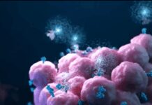 Tumori: prostata, ‘in Lombardia e Basilicata primi progetti di screening, ora regia nazionale’