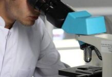 Un Dna antico di 5.500 anni fa riscrive le origini della sifilide