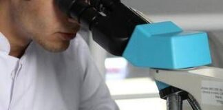 Un Dna antico di 5.500 anni fa riscrive le origini della sifilide