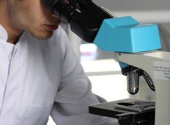 Un Dna antico di 5.500 anni fa riscrive le origini della sifilide