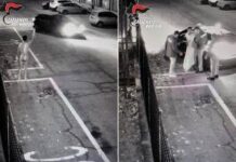 Vaga nudo e lascia droga davanti alla caserma dei carabinieri, 43enne denunciato