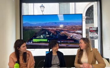 Il progetto Silva verso Bruxelles: Cristina Guarda porta la petizione del Comitato Tuteliamo la Salute in Commissione per le Petizioni Progetto silva