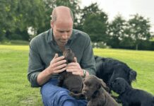 William e Kate condividono l’amore di Elisabetta II per i cani, James Middleton spiega perché