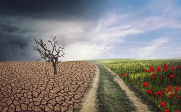 Adattamento climatico, il Veneto guida il progetto Life Adact Italy: piano da 23 milioni per la sicurezza idraulica adattamento climatico Life ADACT ITALY