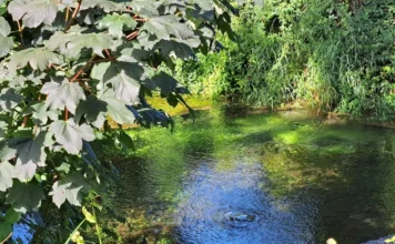 Ipa Risorgive, accordo di collaborazione tra Comune di Vicenza e Università Iuav risorgive