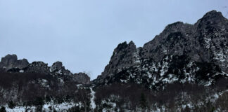 Tragedia di Recoaro Terme. È Massimiliano Ferru, 50 anni di Mestre, l’alpinista morto sul Vaio Gabele travolto da una slavina slavina recoaro terme