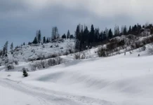 Allerta valanghe sulle Prealpi: fase di attenzione per Altopiano e Grappa allerta valanghe Prealpi Veneto pericolo valanghe prealpi veneto