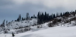 Allerta valanghe sulle Prealpi: fase di attenzione per Altopiano e Grappa allerta valanghe Prealpi Veneto pericolo valanghe prealpi veneto