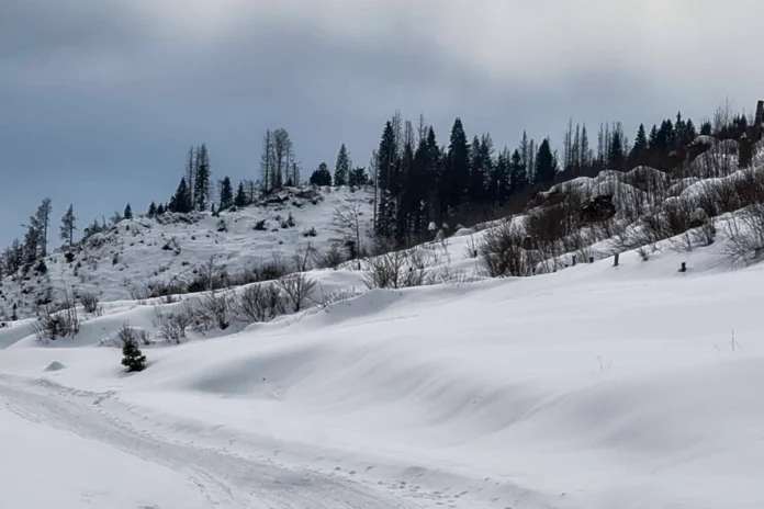 Altopiano di Asiago neve allerta valanghe Prealpi Veneto pericolo valanghe prealpi veneto