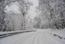 Bimbo lasciato a piedi dal bus, autista chiede scusa. Genitori: “La questione è chiusa”