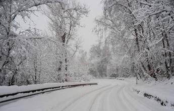 Bimbo senza biglietto ‘olimpico’ lasciato a piedi dal bus a Vodo di Cadore in provincia di Belluno, autista chiede scusa. Genitori: “La questione è chiusa”