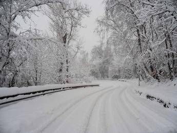 Bimbo senza biglietto ‘olimpico’ lasciato a piedi dal bus a Vodo di Cadore in provincia di Belluno, autista chiede scusa. Genitori: “La questione è chiusa”