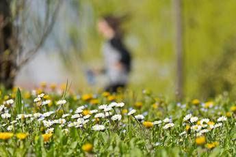 Colpo di coda dell’inverno, ma per Pasqua cambia tutto