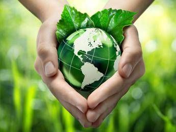 Colucci (Circularity): “Nel 2026 la circolarità diventa condizione per competere”