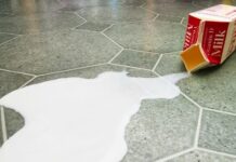 Veneto, crisi del latte: l’assessore regionale Dario Bond incontra Lattebusche, Soligo e Latterie Vicentine e porta le istanze al Masaf Crisi del latte