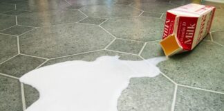 Veneto, crisi del latte: l’assessore regionale Dario Bond incontra Lattebusche, Soligo e Latterie Vicentine e porta le istanze al Masaf Crisi del latte