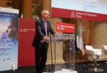 D’Ascenzo (Inail): “Prevenzione e riabilitazione i due ambiti di applicazione in Inail dell’Ai”